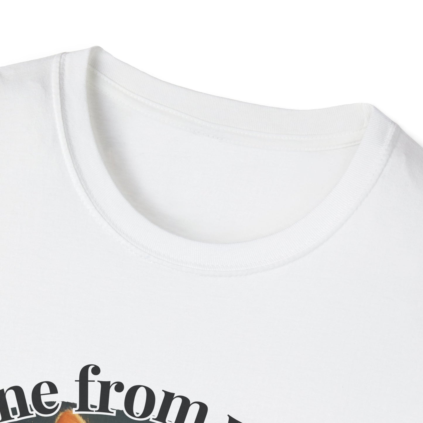 Shine from Within β Golden Stillness Kitten Tee