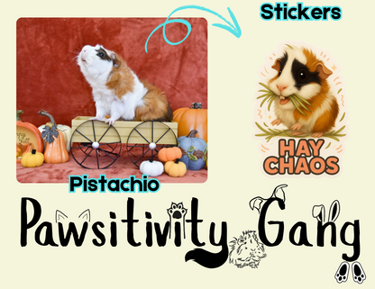 Rescue Piggies Sticker Pack – Gardner’s Pig Pen Special Edition 🐾💛🐹